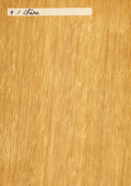 Aspect (texture) bois : chêne