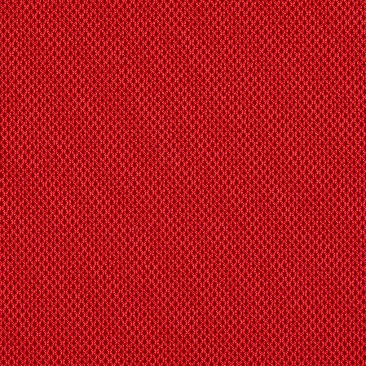 Harlequin_64081