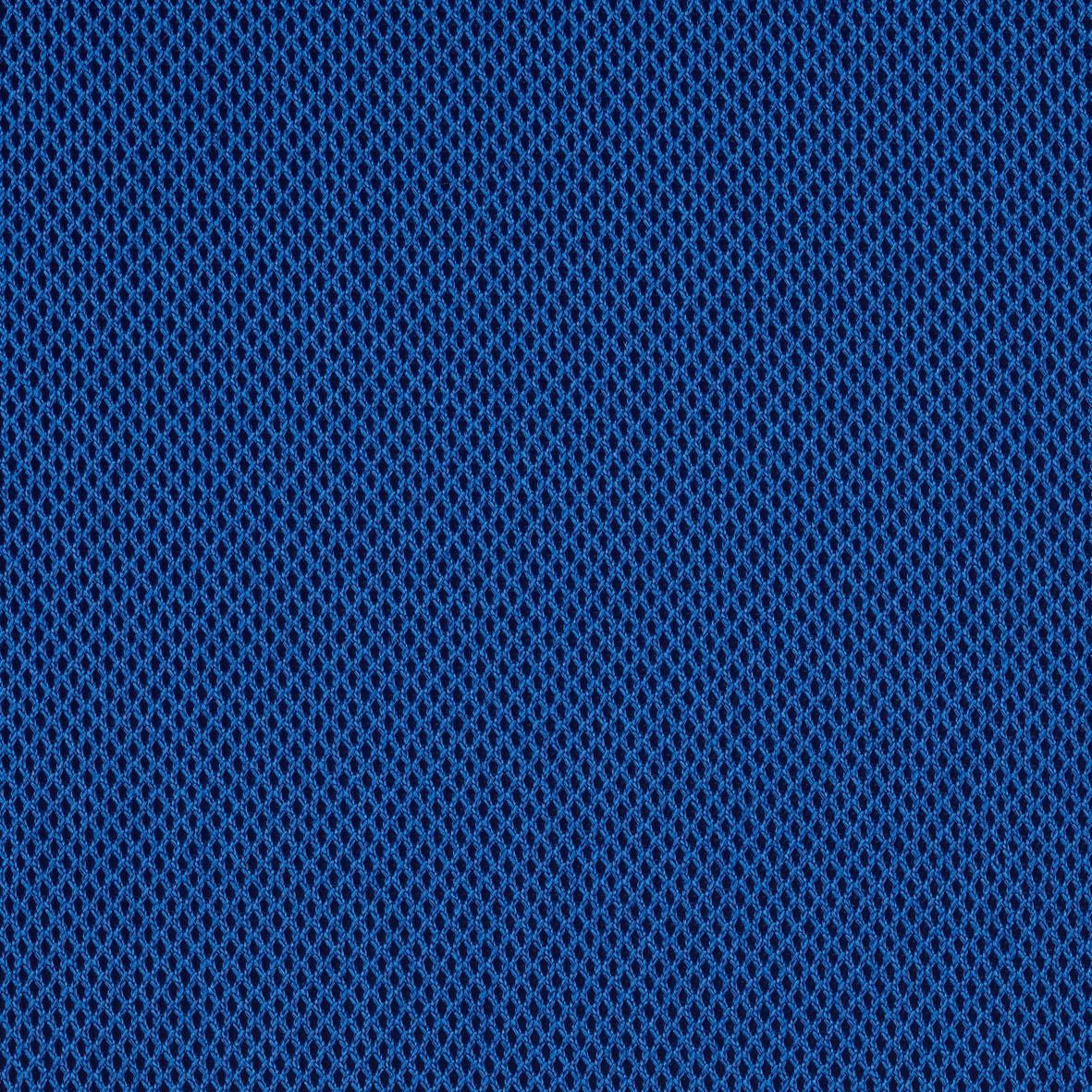 Harlequin_66142