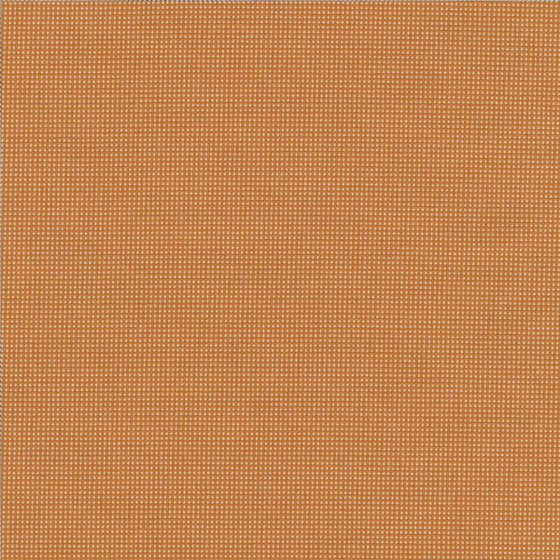 Pro 3 _ 21