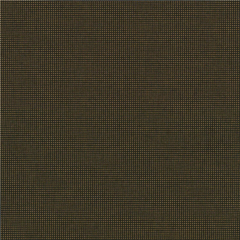 Pro 3 _ 31