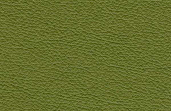 SI1104 - spring