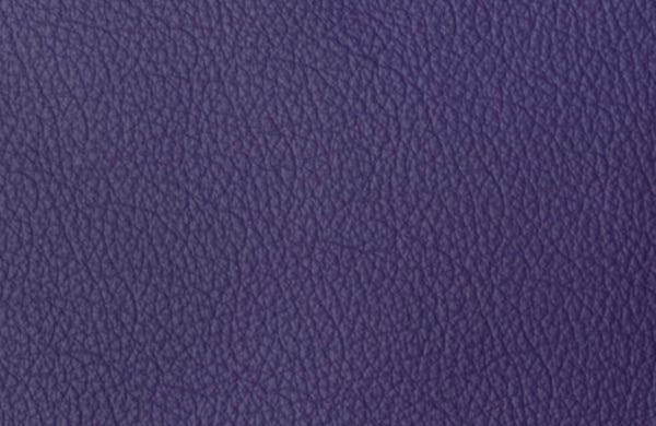 SI1060 - viola