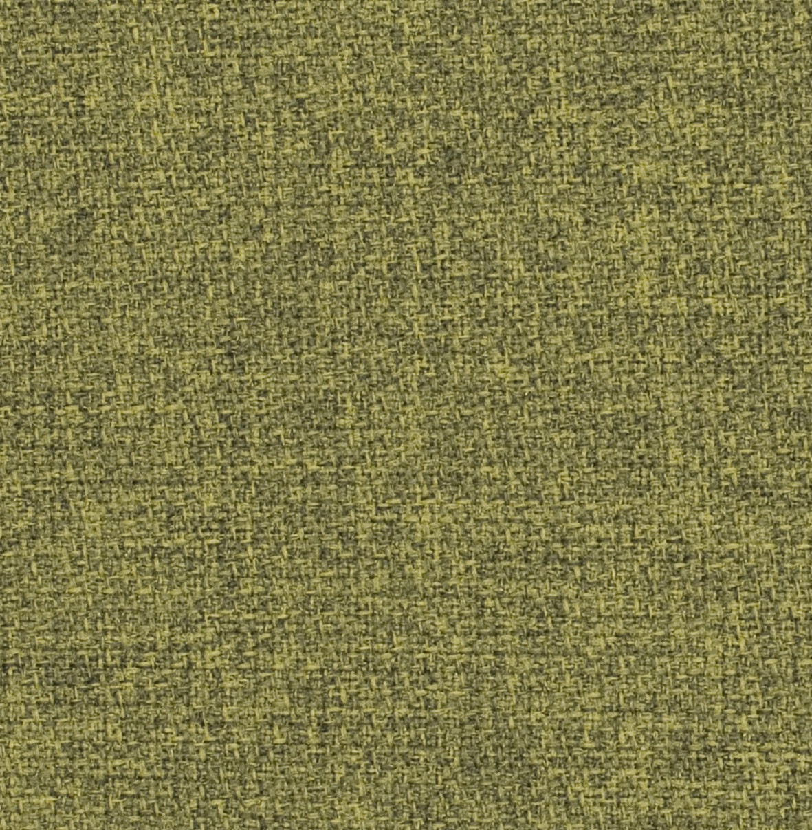 Step_Melange_62073